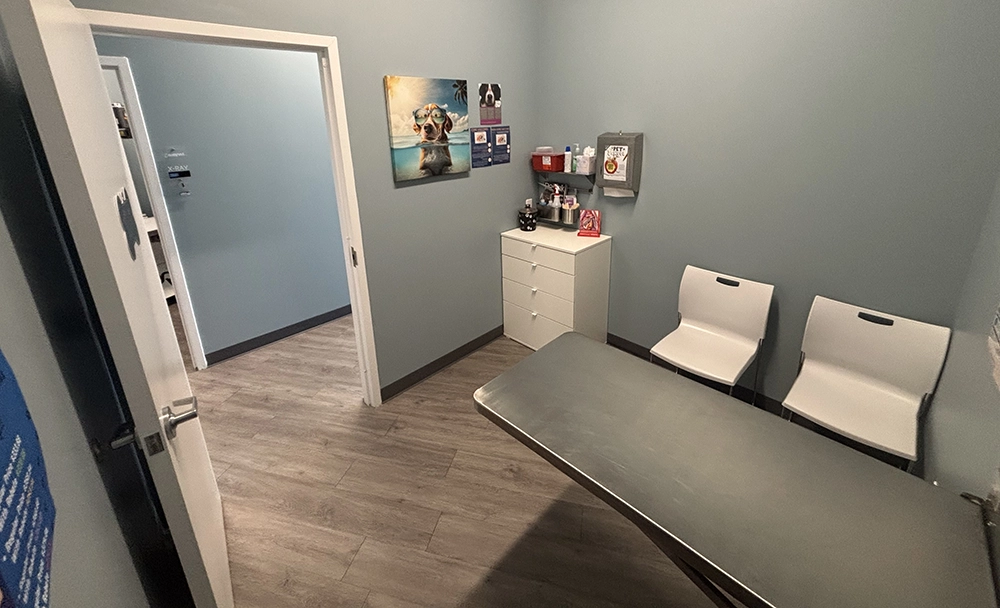 Veterinary waiting room with exam table and chairs