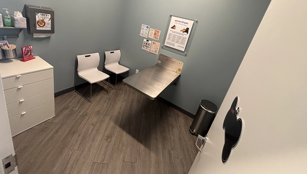 Vet clinic examination room with benches and a wall display